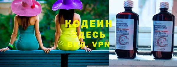 дурь Арсеньев