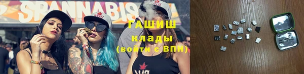 соль ск Тавда