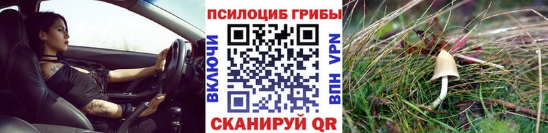Псилоцибиновые грибы Magic Shrooms  блэк спрут рабочий сайт  Куйбышев 